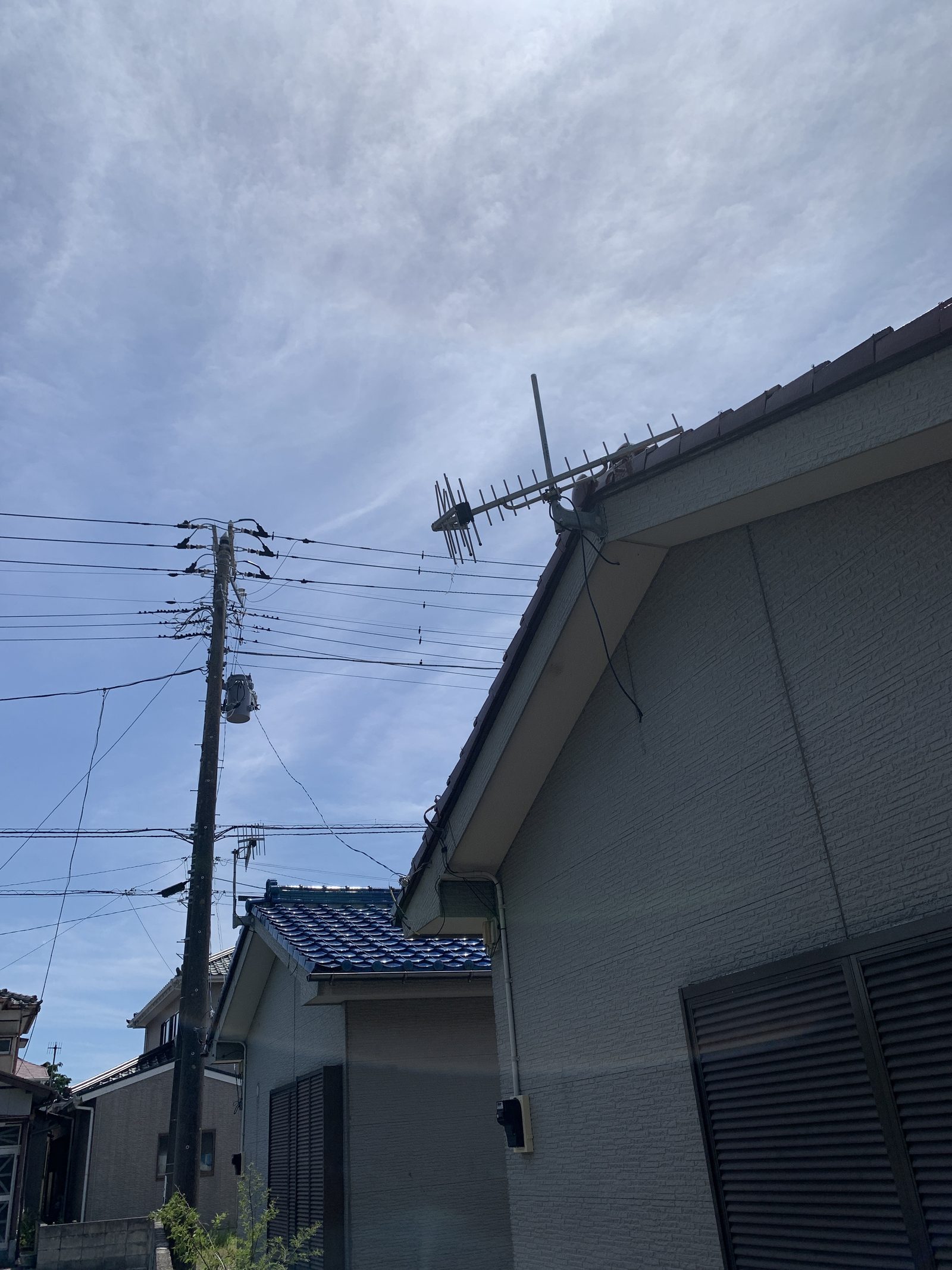 ハゼノキ伐採 施工前後。軒下アングル。