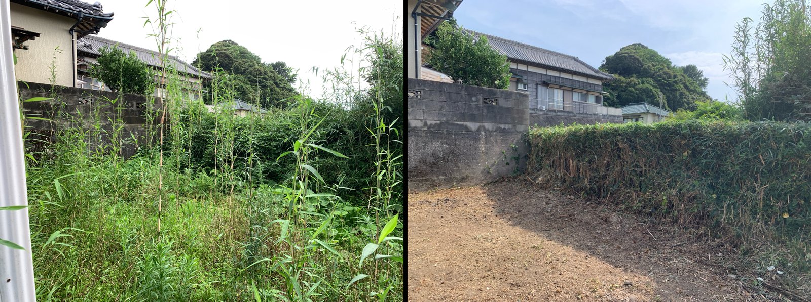 草刈りと竹垣の刈り込み ビフォーアフター 南房総市